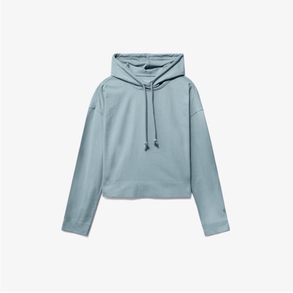 Everlane Casual Blue Hoodie